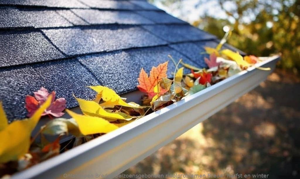 Seizoensgebonden rioolproblemen Breda: herfst en winter